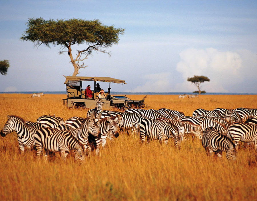04 Days Kenya Lodge Safari