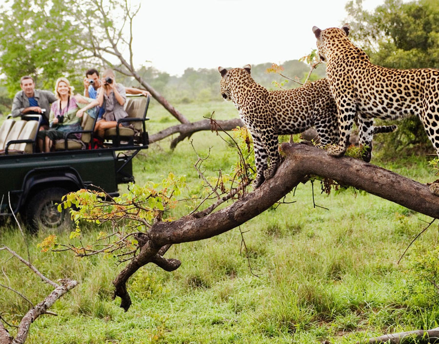 Queen Elizabeth National Park
