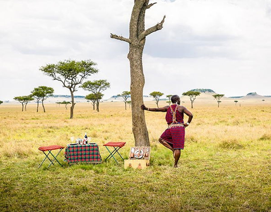 14 Days Kenya And Tanzania Lodge Private Safari