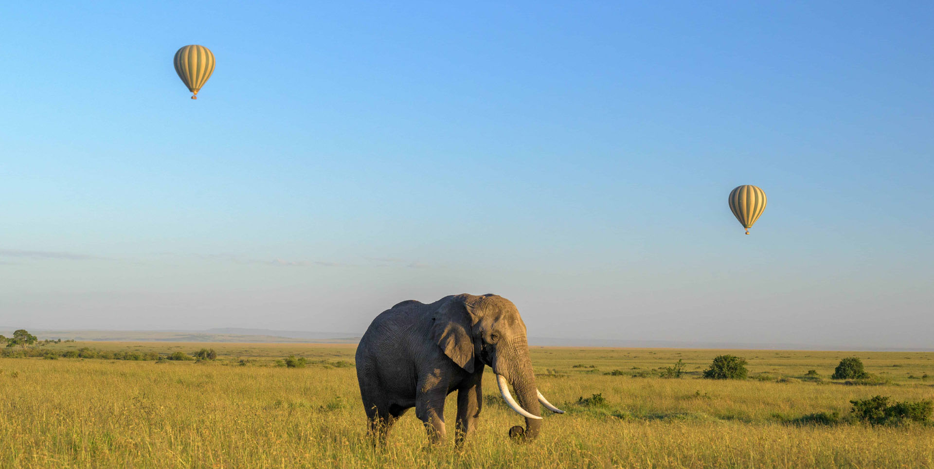 Safari & Indian Ocean Island Escape